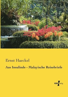 Aus Insulinde - Malayische Reisebriefe 1