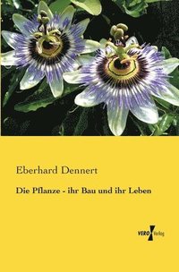 bokomslag Pflanze - ihr Bau und ihr Leben