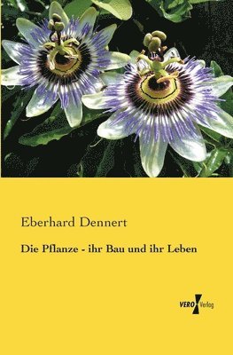 bokomslag Pflanze - ihr Bau und ihr Leben