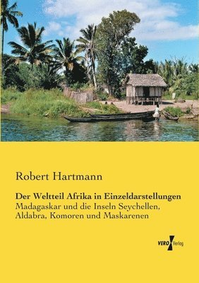 Robert Hartmann - Weltteil Afrika in Einzeldarstellungen, Häftad