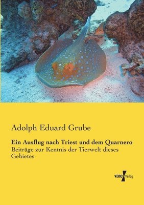 bokomslag Ausflug nach Triest und dem Quarnero