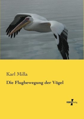 Flugbewegung der Vögel