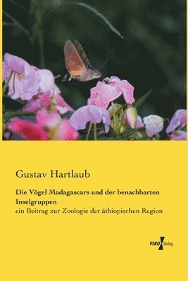 bokomslag Die Vgel Madagascars und der benachbarten Inselgruppen