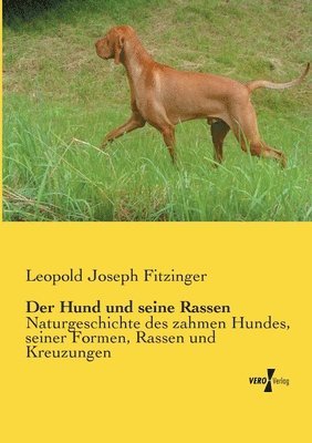 bokomslag Der Hund und seine Rassen