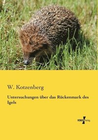 bokomslag Untersuchungen über das Rückenmark des Igels