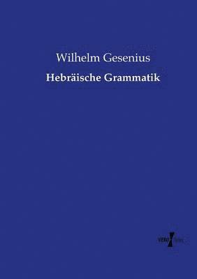 bokomslag Hebraische Grammatik
