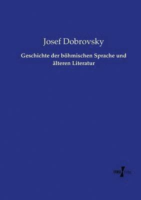 bokomslag Geschichte der bhmischen Sprache und lteren Literatur