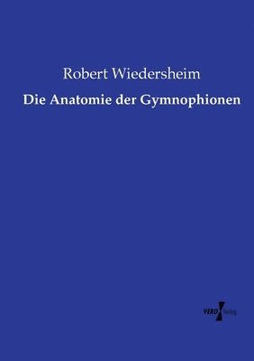 bokomslag Anatomie der Gymnophionen