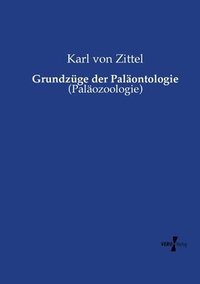 bokomslag Grundzüge der Paläontologie