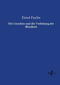 bokomslag Die Ursachen und die Verhtung der Blindheit