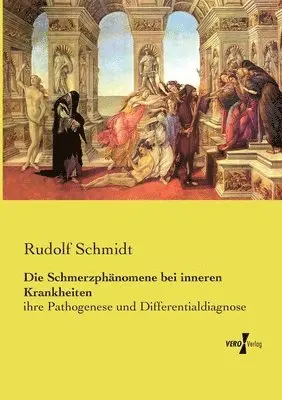 Rudolf Schmidt - Schmerzphänomene bei inneren Krankheiten, Häftad. Tillgänglighet: Lägg i varukorg