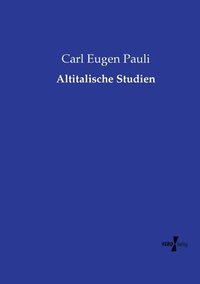 bokomslag Altitalische Studien