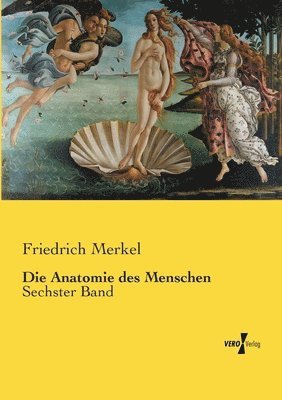 Anatomie des Menschen