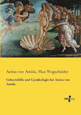 bokomslag Geburtshilfe und Gynakologie bei Aetios von Amida