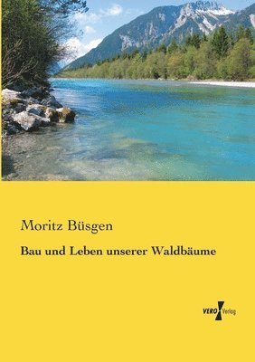 bokomslag Bau und Leben unserer Waldbume