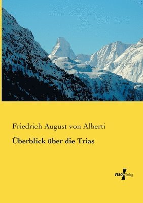 bokomslag Überblick über die Trias