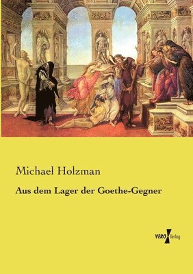 Michael Holzman - Aus dem Lager der Goethe-Gegner, Häftad