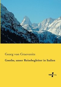 bokomslag Goethe, unser Reisebegleiter in Italien