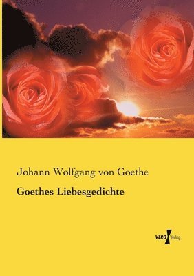 bokomslag Goethes Liebesgedichte