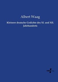 bokomslag Kleinere deutsche Gedichte des XI. und XII. Jahrhunderts