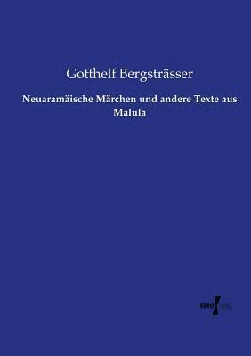 bokomslag Neuaramische Mrchen und andere Texte aus Malula