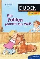 bokomslag Leseprofi - Ein Fohlen kommt zur Welt, 1. Klasse