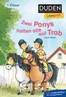 bokomslag Duden Leseprofi - Zwei Ponys halten alle auf Trab, 1. Klasse