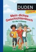 bokomslag Leseprofi - Mein dickes Geschichtenbuch für die 3. Klasse
