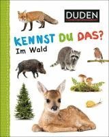 bokomslag Duden 12+: Kennst du das? Im Wald