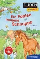 Duden Leseprofi - Ein Fohlen namens Schnuppe, 1. Klasse 1