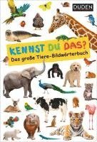 bokomslag Duden 18+: Kennst du das? Das große Tiere-Bildwörterbuch