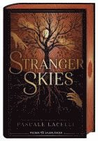 bokomslag Stranger Skies
