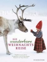 bokomslag Die wunderbare Weihnachtsreise