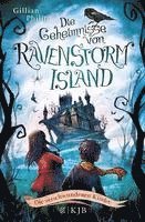bokomslag Die Geheimnisse von Ravenstorm Island 01 - Die verschwundenen Kinder