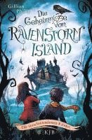 Die Geheimnisse von Ravenstorm Island 01 - Die verschwundenen Kinder 1