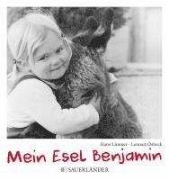 Mein Esel Benjamin 1