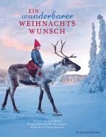 bokomslag Ein wunderbarer Weihnachtswunsch