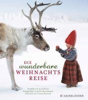 bokomslag Die wunderbare Weihnachtsreise