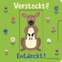 bokomslag Versteckt? Entdeckt!