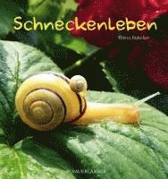 bokomslag Schneckenleben