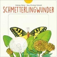 Schmetterlingwunder 1