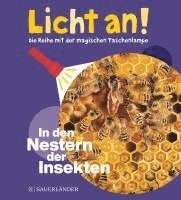 bokomslag In den Nestern der Insekten