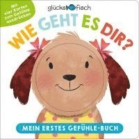 bokomslag Glücksfisch: Wie geht es dir? Mein erstes Gefühle-Buch