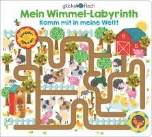 bokomslag Glücksfisch: Mein Wimmel-Labyrinth: Komm mit in meine Welt!