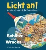 bokomslag Schätze und Wracks