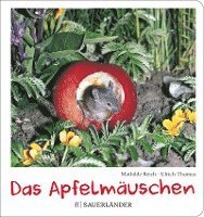 bokomslag Das Apfelmäuschen (Pappbilderbuch)