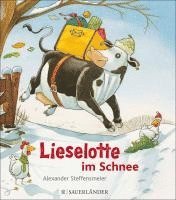 bokomslag Lieselotte im Schnee Mini