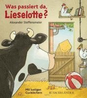 bokomslag Was passiert da, Lieselotte?