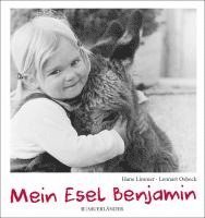 Mein Esel Benjamin 1