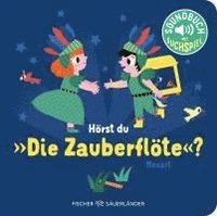 bokomslag Hörst du die Zauberflöte?
